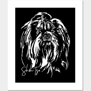 Shih Tzu dog lover portrait Posters and Art